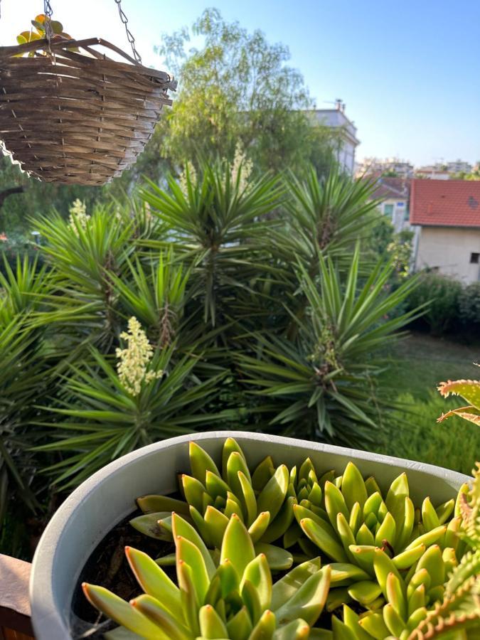 Accommodatie bij particulieren Location De Privee Dans Prive, Jardins Et Parking Gratuit 1 Min To Tramway Et 9 Min De Centre-ville, Accessibilite A Plusieurs Transports